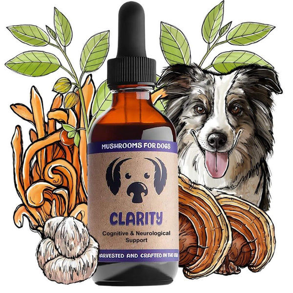 MycoDog Clarity Liquid Cognitive Support Supplement for Dogs Spread