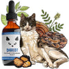 MycoDog Digest Liquid Gut Health Supplement for Cats Spread