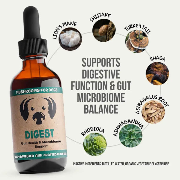 MycoDog Digest Liquid Gut Health Supplement for Dogs Ingredients