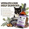 MycoDog Vitality Liquid Immune Support Supplement for Cats Can Help Support
