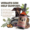 MycoDog Vitality Liquid Immune Support Supplement for Dogs Can Help Support
