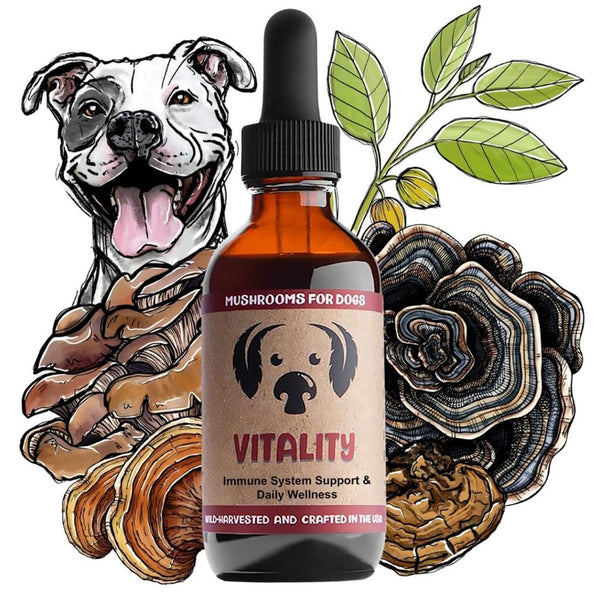 MycoDog Vitality Liquid Immune Support Supplement for Dogs Spread