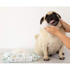The New Zealand Natural Pet Food Co. WOOF Manuka Honey Wipes for Dogs with Pug Dog