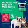 NaturVet Advanced Probiotics & Enzymes Powder for Dogs & Cats For Bellies That Need a Bit More Backup
