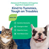 NaturVet Advanced Probiotics & Enzymes Powder for Dogs & Cats Kind to Tummies Tough on Troubles