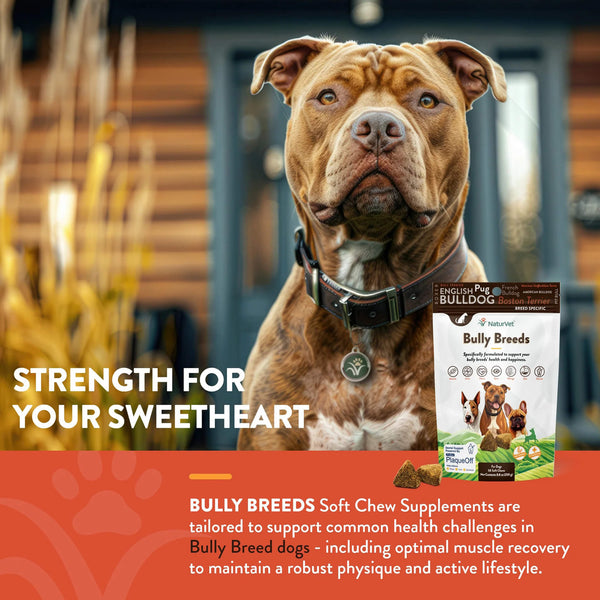 NaturVet Breed Specific Bully Breed Dog Soft Chews Strength For Your Sweetheart