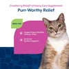 NaturVet Cranberry Relief Plus Echinacea Soft Chews for Cats Purr-Worthy Relief