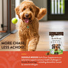 NaturVet Breed Specific Doodle Breed Dog Soft Chews More Chase Less Achoo
