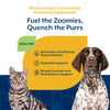 NaturVet Pet Electrolyte Concentrate Hydration Support for Dogs & Cats Fuel the Zoomies & Quench the Purrs
