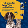 NaturVet Pet Electrolyte Concentrate Hydration Support for Dogs & Cats Hydration for Every Wag and Whisker