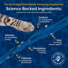 NaturVet Pet Electrolyte Concentrate Hydration Support for Dogs & Cats Science Backed Ingredients
