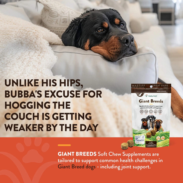 NaturVet Breed Specific Giant Breed Dog Soft Chews No More Lazy Excuses