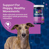 NaturVet Soreness Relief with Hemp Soft Chews for Dogs Support for Happy Healthy Movements
