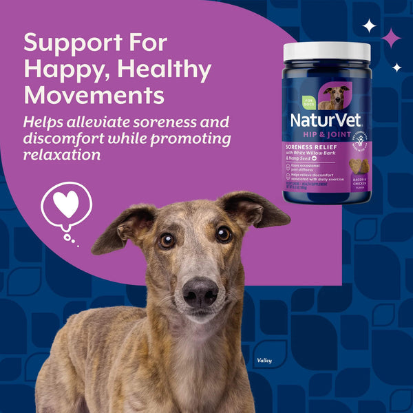 NaturVet Soreness Relief with Hemp Soft Chews for Dogs Support for Happy Healthy Movements