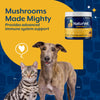 NaturVet Mushroom Max Advanced Immune Support Soft Chews for Dogs & Cats Mushrooms Made Mighty