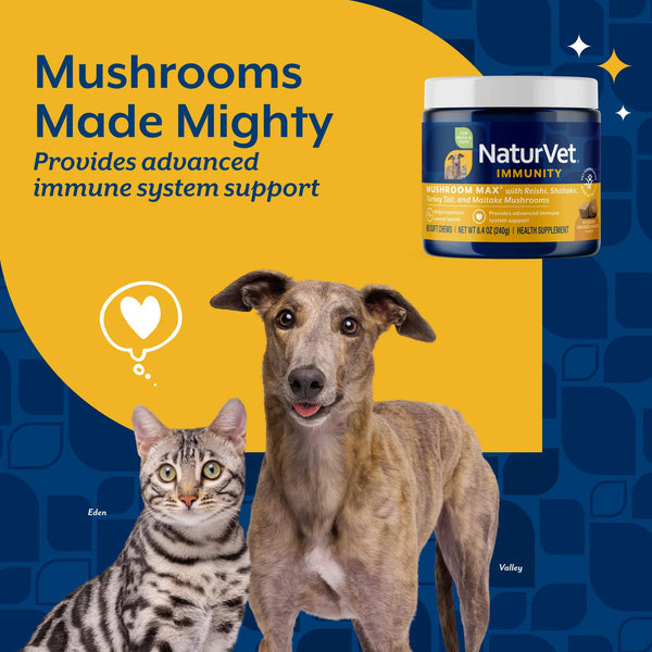 NaturVet Mushroom Max Advanced Immune Support Soft Chews for Dogs & Cats Mushrooms Made Mighty