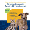 NaturVet Mushroom Max Advanced Immune Support Soft Chews for Dogs & Cats Stronger Immunity Powered By Mushrooms