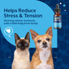 NaturVet Quiet Moments Calming Drops Plus Hemp Oil for Dogs & Cats Helps Reduce Stress & Tension