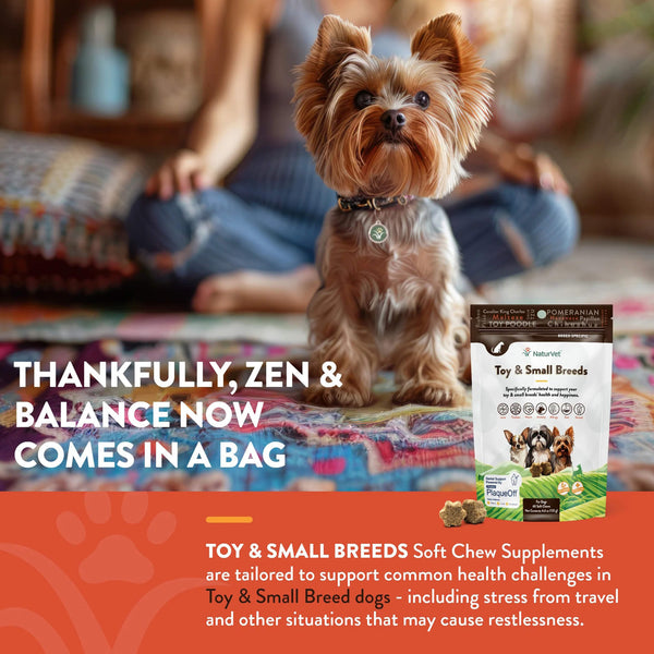 NaturVet Breed Specific Toy & Small Breed Dog Soft Chews Zen & Balance