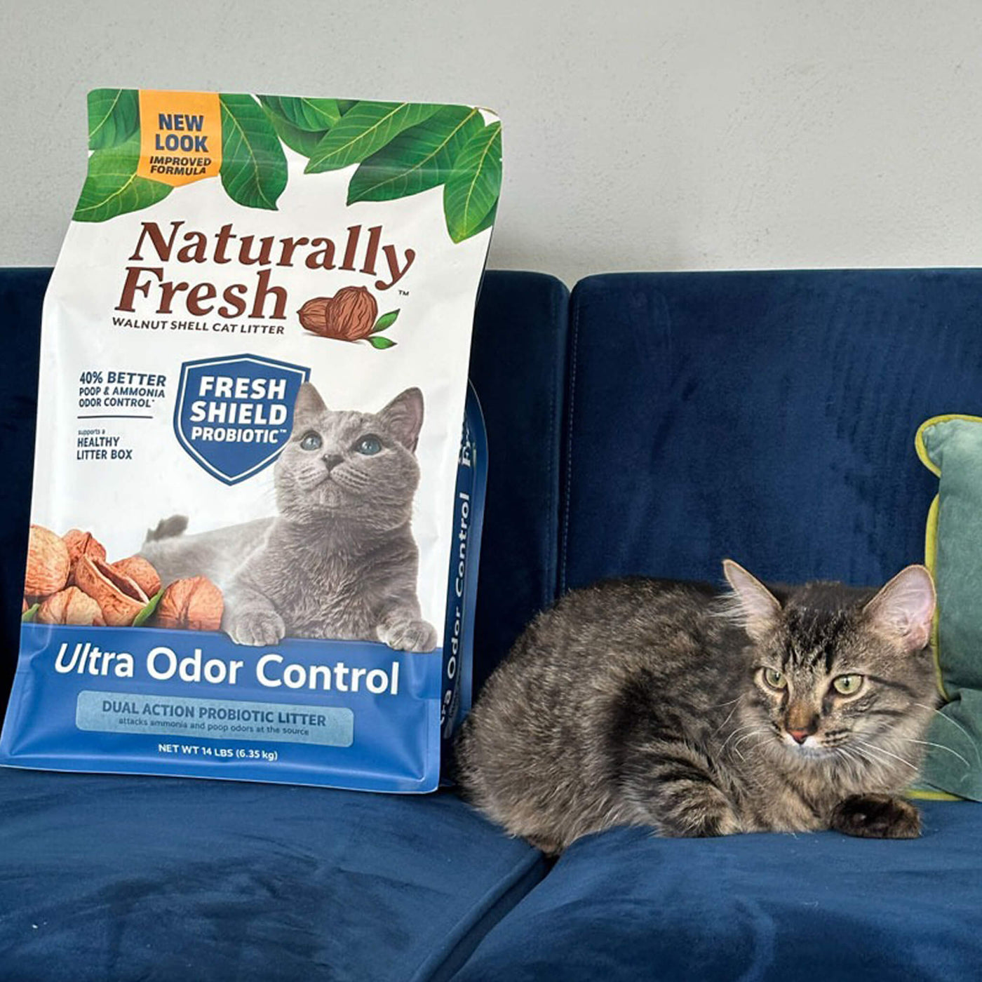 How Does Walnut Shell Cat Litter Suppose to Help: Ultimate Benefits Revealed