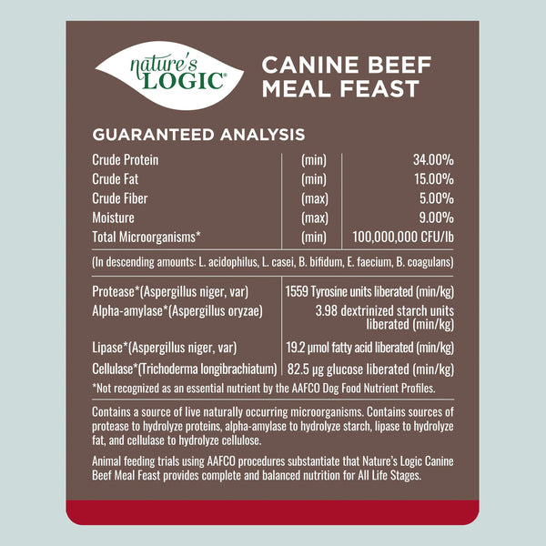 Beef Meal Feast