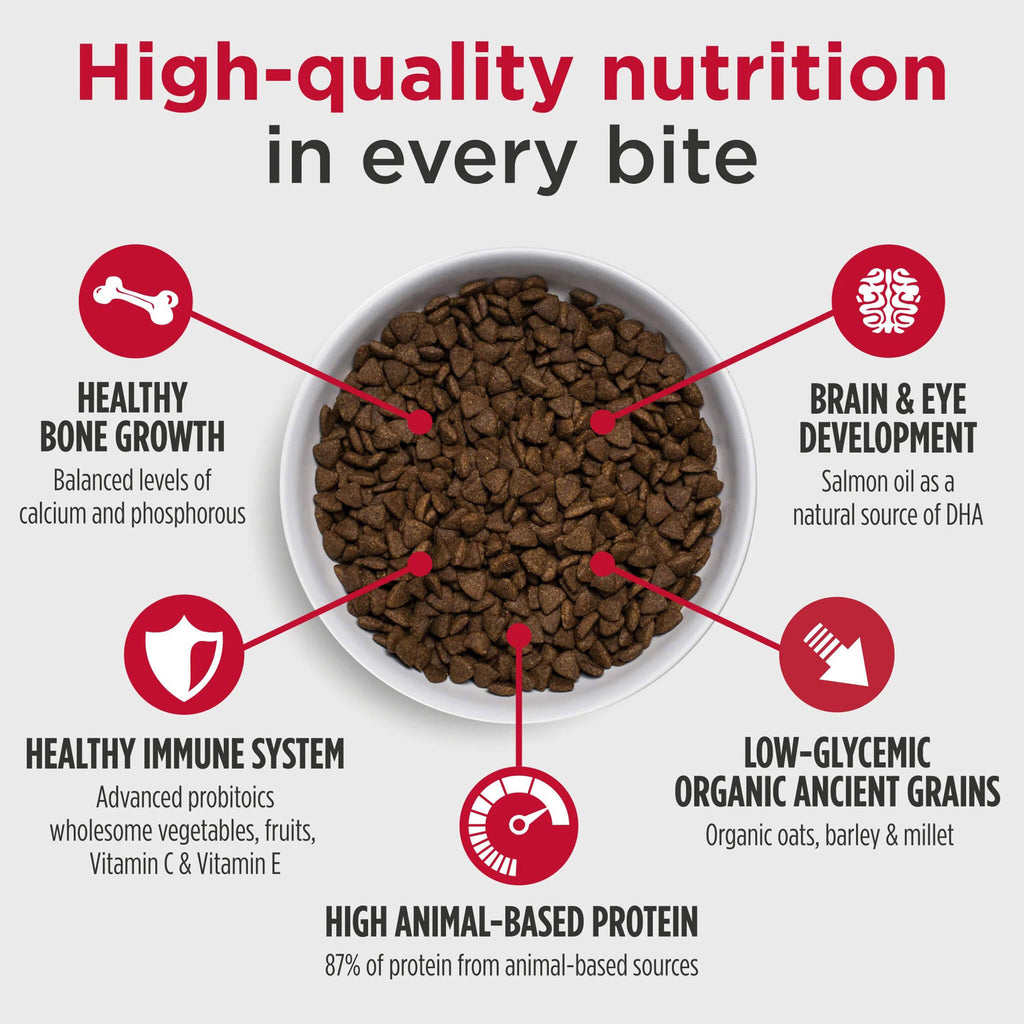Nulo Challenger Large Breed Puppy Dry Dog Food | Only Natural Pet