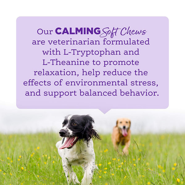 NutriSource Amplifull Calming Soft Chews for Dogs Infographic