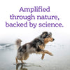 NutriSource Amplifull Calming Soft Chews for Dogs Nature & Science