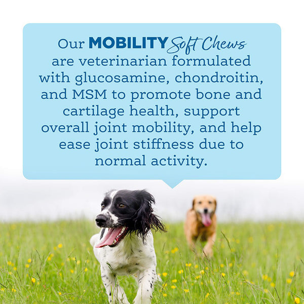 NutriSource Amplifull Mobility Soft Chews for Dogs Infographic