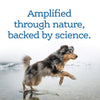 NutriSource Amplifull Mobility Soft Chews for Dogs Nature & Science