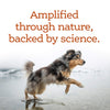 NutriSource Amplifull Multivitamin Soft Chews for Dogs Nature & Science