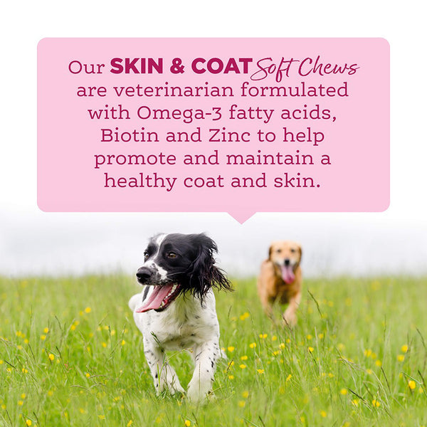 NutriSource Amplifull Skin & Coat Soft Chews for Dogs Infographic