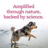 NutriSource Amplifull Skin & Coat Soft Chews for Dogs Nature & Science
