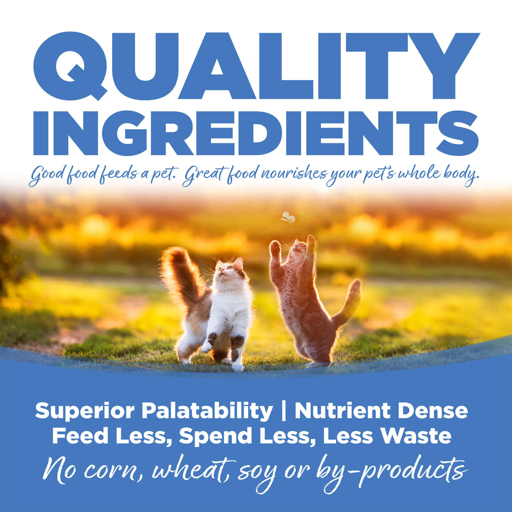 Nutrisource Grain Inclusive Dry Cat Food | Only Natural Pet