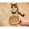 Open Farm Grain Free Wet Pate for Kittens