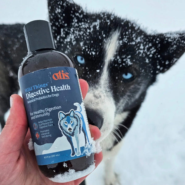 O.T.I.S. Wild Things Digestive Health Liquid Supplement for Dogs with Winter Dog