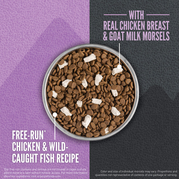 Orijen Grain Free Wild Reserve Dry Kitten Food with Morsels in the Bowl