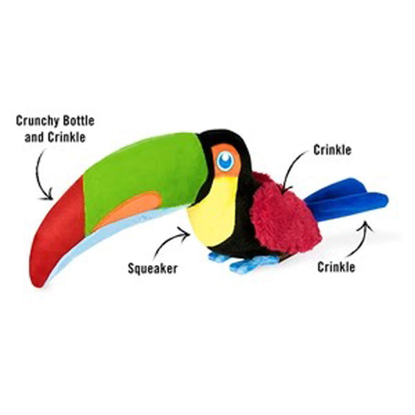 Toucan