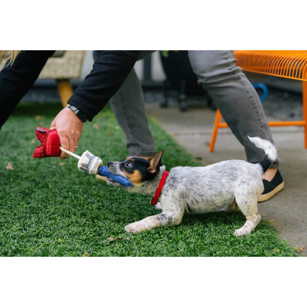dog holding eiffel tower dog toy tug o war