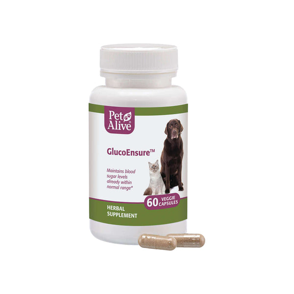 PetAlive GlucoEnsure Bottle with Capsules