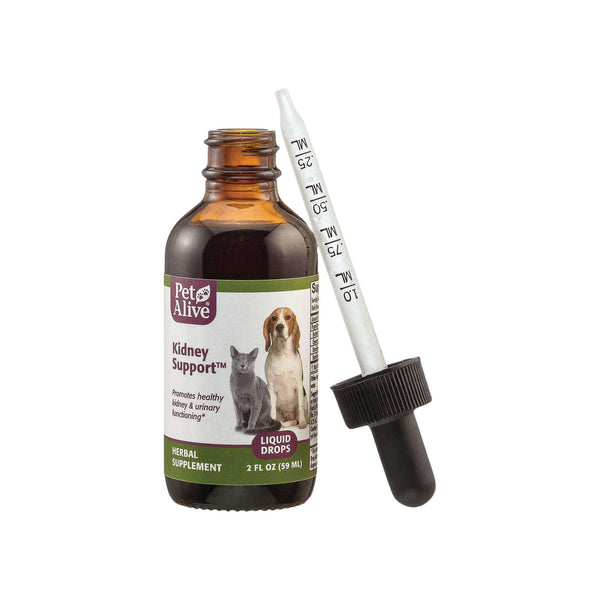 PetAlive Kidney Support Bottle with Dropper