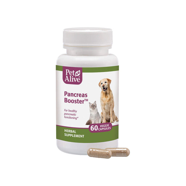 PetAlive Pancreas Booster Bottle with Capsules