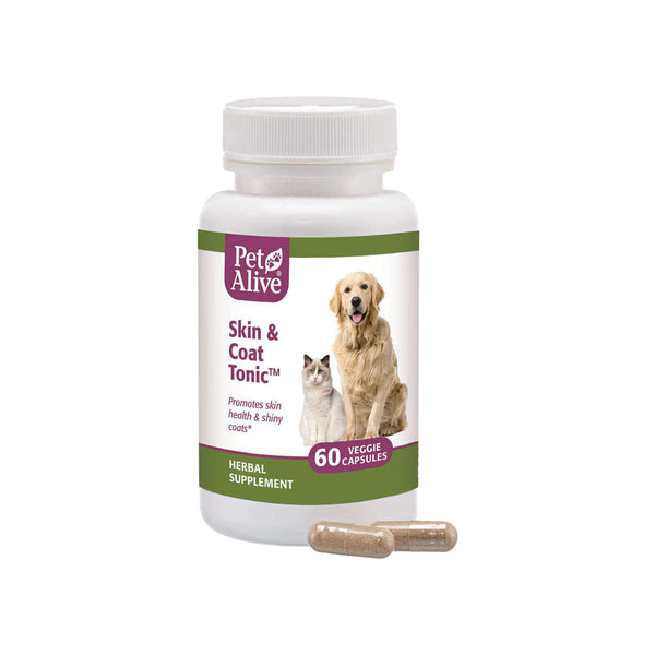 PetAlive Skin & Coat Tonic Bottle with Capsules