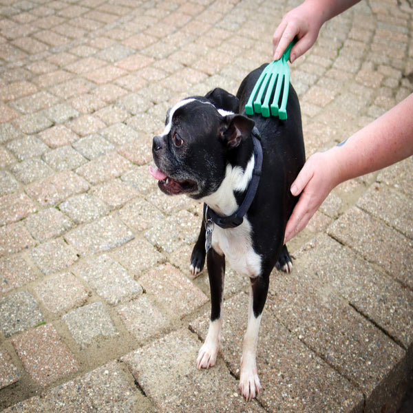 PetKORE GroomRaker Deshedding Tool for Dogs Brushing