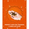 Plato Pet Treats Holiday Small Bites for Dogs in Hand