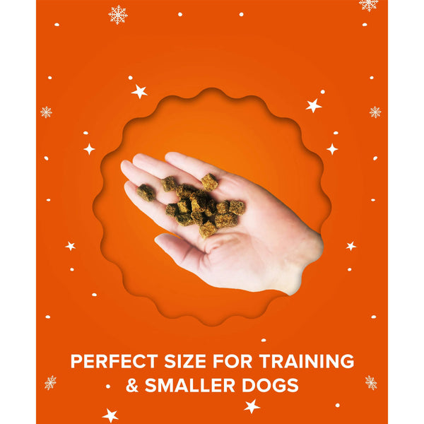 Plato Pet Treats Holiday Small Bites for Dogs in Hand