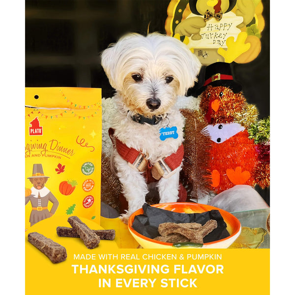 Plato Thanksgiving Dinner Sticks Dog Treats Stared Down by Teddy