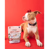 Polkadog Holiday Soft & Chewy Dog Treats Seasons Eatings Dog Gift
