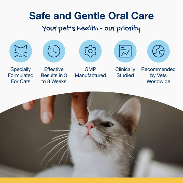 ProDen PlaqueOff Scoopables Dental Treats for Cats Safe & Gentle Oral Care