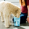 Ready Pet Go! Healthy 12-in-1 Multivitamin Supplement for Dogs Dog Sniffing Package
